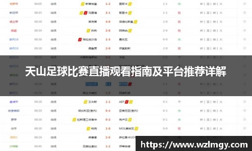 天山足球比赛直播观看指南及平台推荐详解