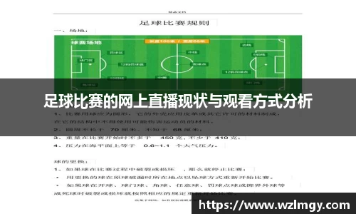 足球比赛的网上直播现状与观看方式分析