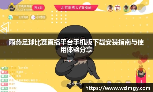 雨燕足球比赛直播平台手机版下载安装指南与使用体验分享