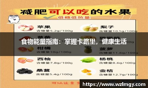食物能量指南：掌握卡路里，健康生活